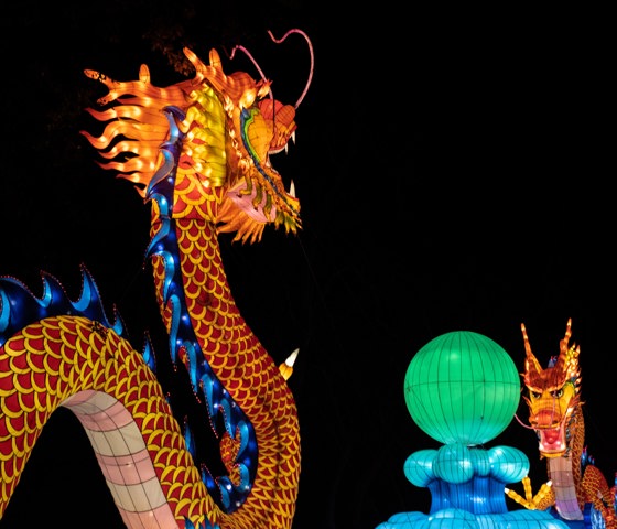 Dragon Lantern in China with Royal Caribbean