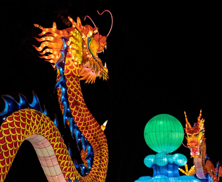 Dragon Lantern in China with Royal Caribbean