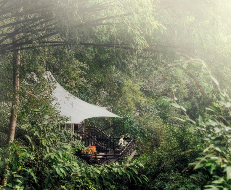 Bamboo Tented Accommodation - Four Seasons Tented Camp Golden Triangle