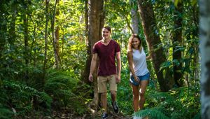 Byfield Rainforest walk