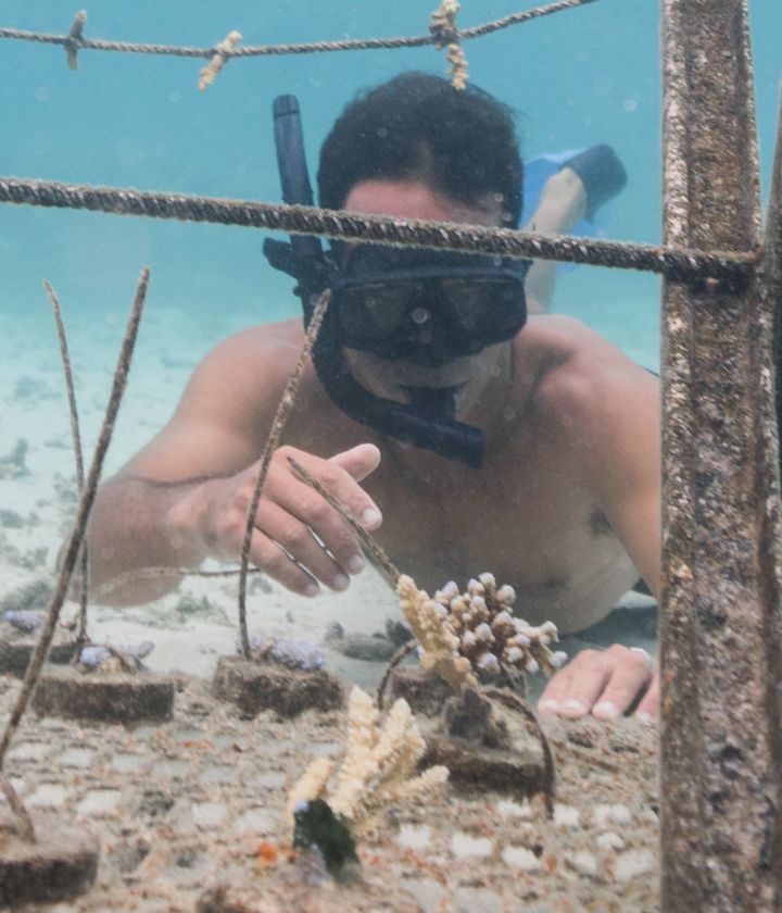 Coral Planting Six Senses Tourism Fiji Credit Stu & Lia Photography
