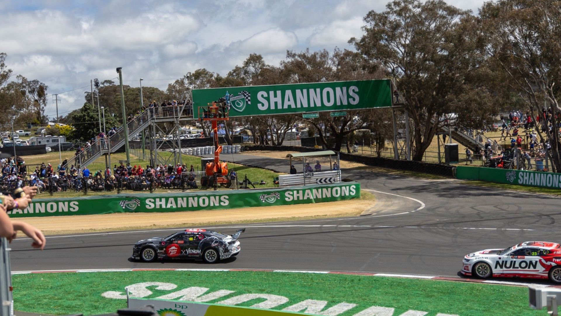 View From Paddock Club